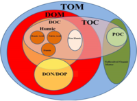 Forms of organic matter.webp