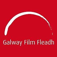 Galway Film Fleadh (Large).jpg