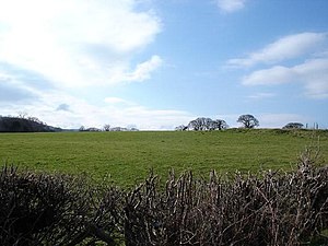 English: Green fields and blue skies. Fields n...