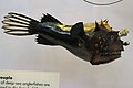 Mélytengeri ördöghal (Photocorynus spiniceps) nőstény