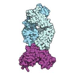 Isatuximab