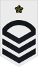 Знак отличия старшины 1-го класса JMSDF (c) .svg