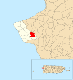 Location of Jagüey within the municipality of Rincón shown in red