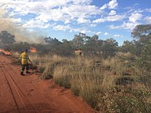 WA Parks and Wildlife fire crew lighting a prescribed burn at Octopus Bore track buffer, Lorna Glen former pastoral lease, now joint managed with traditional owners, May 2015. KAL 010 Octopus Bore track buffer 7 Lorna Glen V-2015.jpg