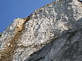 Vue sur la falaise.