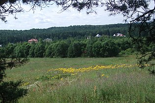 Дахі асабнякоў у Ліхачах