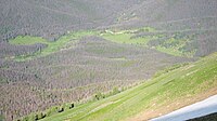 Extensive mountain pine beetle infestation and mortality of lodgepole pine in northern Colorado along the Continental Divide - (seen from summit of Cascade Mountain in 2011)