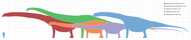 800px-Longest_dinosaurs1.png