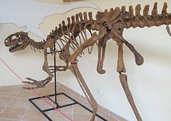 Lourinhanosaurus antunesi.jpg