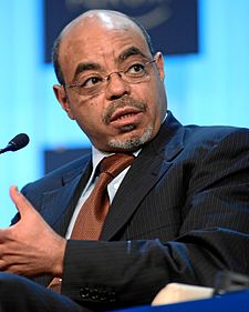 Meles Zenawi (26. ledna 2012)