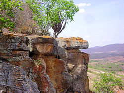 Caatinga em Pernambuco.