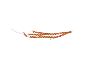 2efl: Crystal structure of the EFC domain of formin-binding protein 17