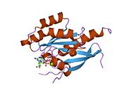 2f9l: 3D structure of inactive human Rab11b GTPase