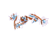 3brw: Structure of the Rap-RapGAP complex