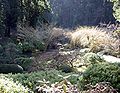 Miniatura para Jardín japonés de Portland