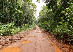 Track of Bélizon (2007)