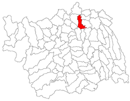 Săucești – Mappa