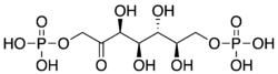 Image illustrative de l’article Sédoheptulose-1,7-bisphosphate