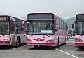 2014(2014)HINO RK8JRVA-KJF 608-U3(此車已轉賣至臺西客運)