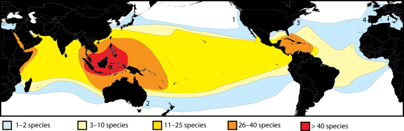 800px-Species_Diversity_Biogeography.png