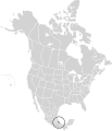 Foreste decidue di Veracruz (ecoregione NT0233)