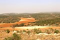 View of valley below Kh. Tell el-Beida