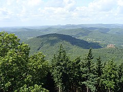 Ebersberg (Wasgauer Felsenland): Blick vom Rehberg