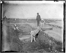 A trench at the potter's field on Hart Island, seen circa 1890