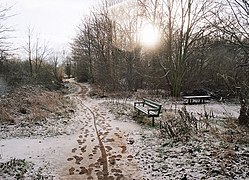 A winter nature trail