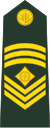 Бангладеш-армия-OR-8.svg