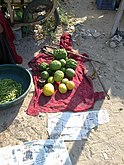 Bijora - cidra para venda em Bhujpur, Kutch, Gujarat, Índia.