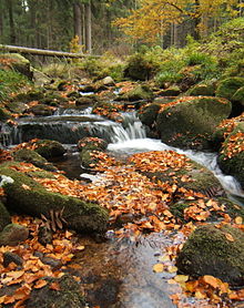 Bode warme grosse herbst.jpg