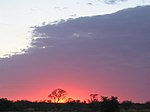 Botswana sunrise.jpg