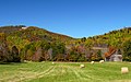 Křovinaté hory (Brushy Mountains)