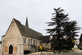 L'église et le cèdre de l'Atlas.