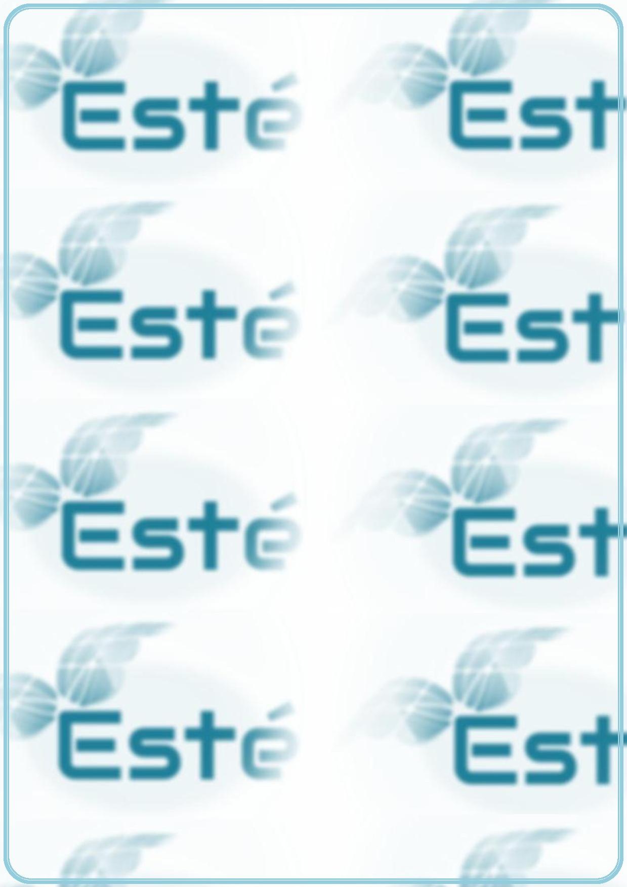 Case Simulink - Team Esté