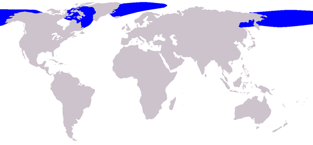 Mapa de distribuição da baleia-da-groenlândia.
