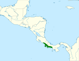 Costaricaanse gierzwaluw