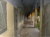 Corridor and classrooms