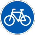 D21: Radweg