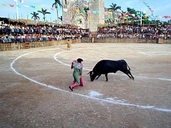 Corridas taurinas.