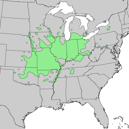 Gymnocladus dioicus range map 4