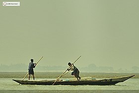 Image illustrative de l’article Lac Chilika