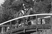 Anne riding at an event in the Netherlands (1980) Internationale Military te Boekelo, Prinses Anne van Engeland in aktie, Bestanddeelnr 931-1059.jpg