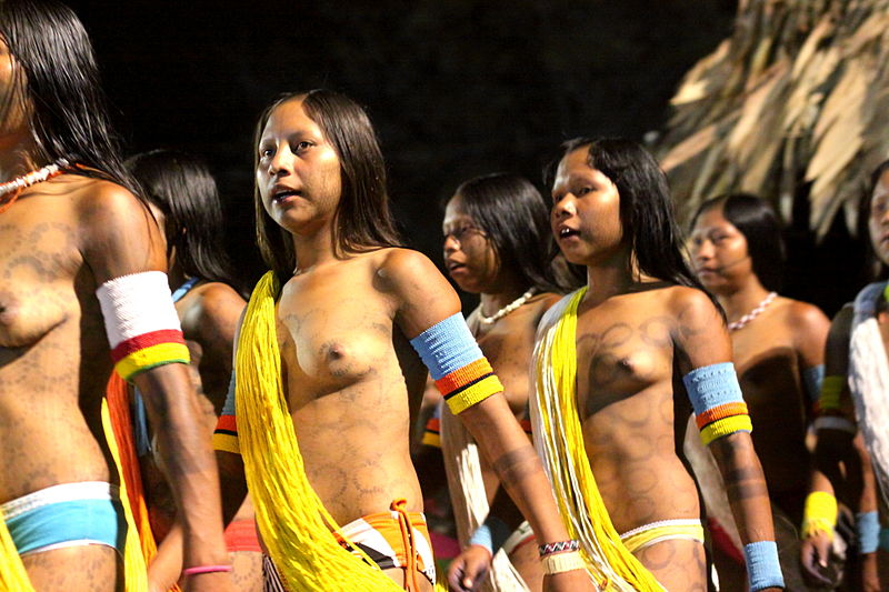 Ficheiro:Kayapo 3067a.JPG