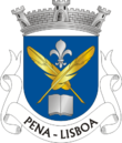 Vlag van Pena