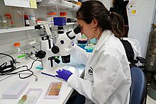 Highly specialized professionals, such as medical researchers, often undergo extensive education to master their fields and make significant contributions to society. NIH Medical Research Scholars Program (48050924987).jpg