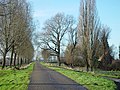 Polderlandschap in de omstreken van Strijen