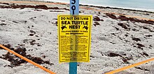 A protected sea turtle area that warns of fines and imprisonment on a beach in Miami, Florida. Protected turtle nesting area I.jpg