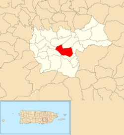 Location of Quebrada Arriba within the municipality of Cayey shown in red